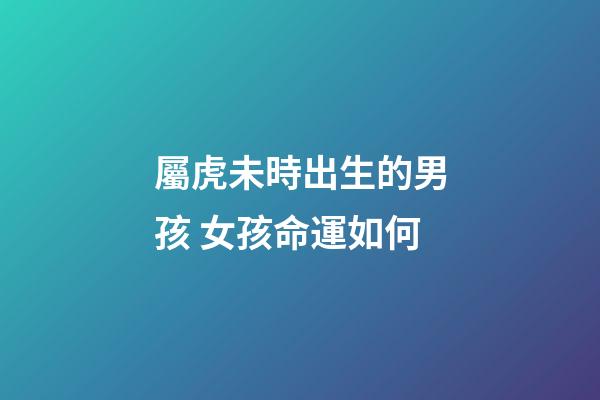 屬虎未時出生的男孩 女孩命運如何